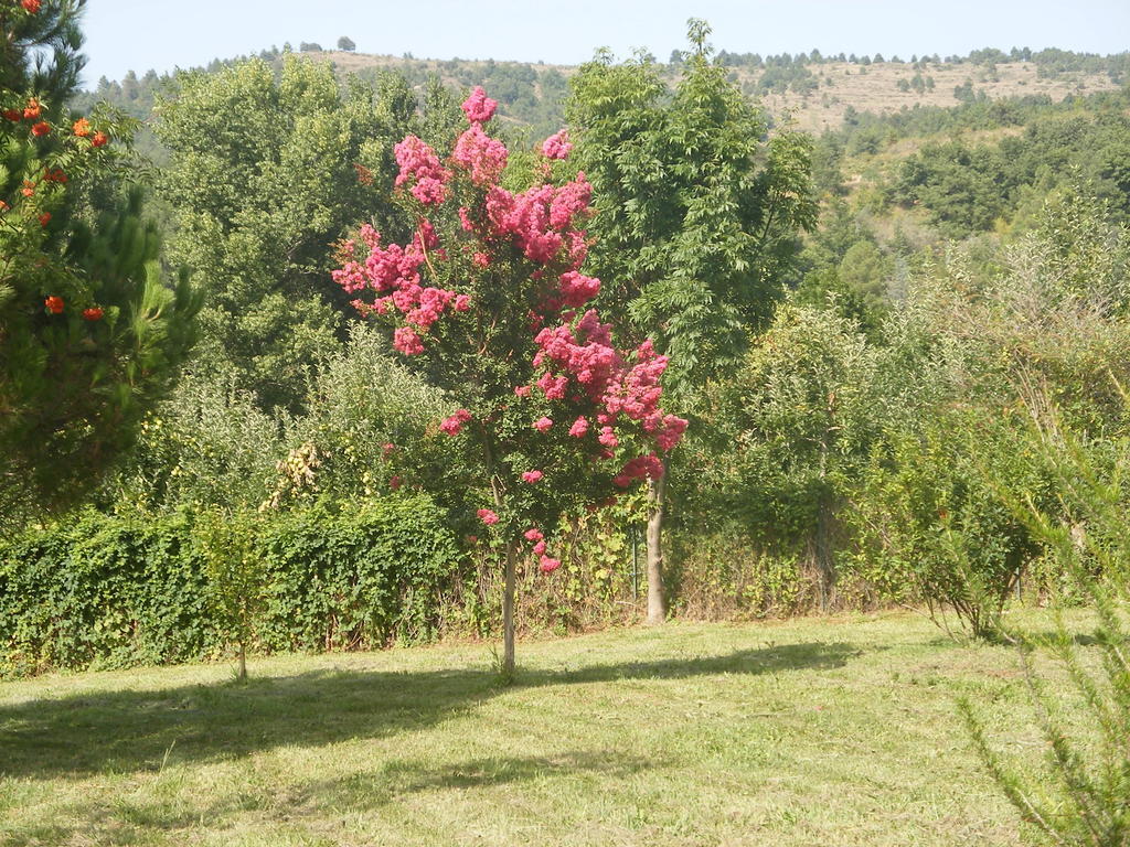 皮特戴梅森村度假屋 Corneilla-de-Conflent 客房 照片